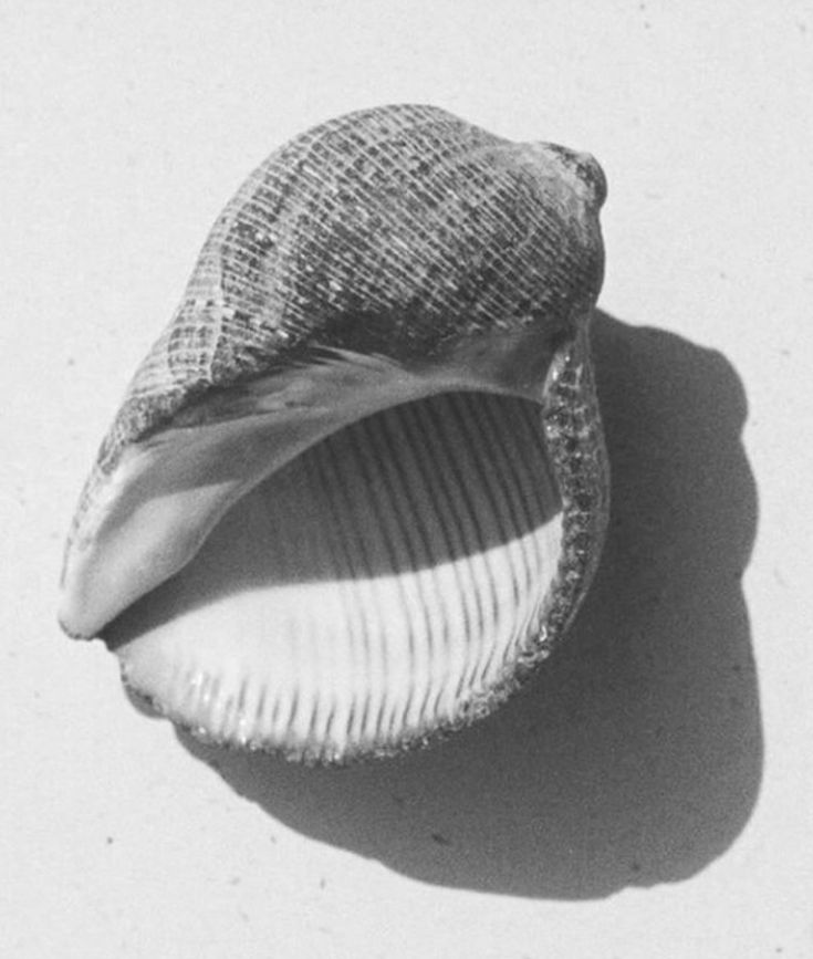 Collection panel image